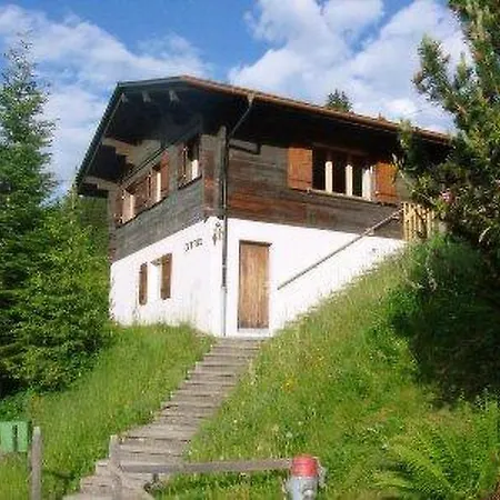 Primula, Chalet